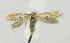  ( - KBE 2021091)  @11 [ ] Creative Commons  Attribution Non-Commercial Share-Alike (2021) Kai Berggren NTNU University Museum, Department of Natural History