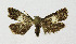  ( - KBE_2021125)  @13 [ ] Creative Commons  Attribution Non-Commercial Share-Alike (2022) Kai Berggren NTNU University Museum, Department of Natural History