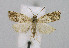  ( - KBE_2022021)  @11 [ ] Creative Commons  Attribution Non-Commercial Share-Alike (2022) Kai Berggren NTNU University Museum, Department of Natural History