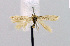  ( - KBE_2022049)  @11 [ ] Creative Commons  Attribution Non-Commercial Share-Alike (2023) Kai Berggren NTNU University Museum, Department of Natural History