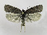  ( - KBE_2022052)  @11 [ ] Creative Commons  Attribution Non-Commercial Share-Alike (2023) Kai Berggren NTNU University Museum, Department of Natural History