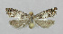  ( - KBE_2023046)  @11 [ ] Creative Commons  Attribution Non-Commercial Share-Alike (2024) Kai Berggren NTNU University Museum, Department of Natural History