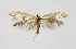  ( - KBE_2023064)  @11 [ ] Creative Commons  Attribution Non-Commercial Share-Alike (2024) Kai Berggren NTNU University Museum, Department of Natural History