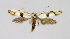  ( - KBE_2023065)  @11 [ ] Creative Commons  Attribution Non-Commercial Share-Alike (2024) Kai Berggren NTNU University Museum, Department of Natural History