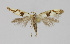  ( - KBE_2023066)  @11 [ ] Creative Commons  Attribution Non-Commercial Share-Alike (2024) Kai Berggren NTNU University Museum, Department of Natural History