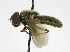  ( - KBE_2023075)  @11 [ ] Creative Commons  Attribution Non-Commercial Share-Alike (2024) Kai Berggren NTNU University Museum, Department of Natural History