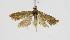  ( - KBE_2023083)  @11 [ ] Creative Commons  Attribution Non-Commercial Share-Alike (2024) Kai Berggren NTNU University Museum, Department of Natural History