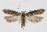  ( - KBE 2024058)  @11 [ ] Creative Commons  Attribution Non-Commercial Share-Alike (2024) Kai Berggren NTNU University Museum, Department of Natural History