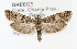  ( - NHMO_Lep_2022_40)  @11 [ ] Copyright (2023) Leif Aarvik University of Oslo, Natural History Museum