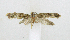  ( - NHMO_Lep_2022_03)  @11 [ ] Copyright (2023) Leif Aarvik University of Oslo, Natural History Museum