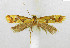  ( - NHMO_lep_2023.11)  @11 [ ] Copyright (2024) Leif Aarvik University of Oslo, Natural History Museum