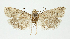  ( - NHMO_lep_2023.14)  @11 [ ] Copyright (2024) Leif Aarvik University of Oslo, Natural History Museum
