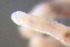  ( - RMNH.5012217)  @11 [ ] CreativeCommons - Attribution Non-Commercial Share-Alike (2018) Unspecified Naturalis Biodiversity Center