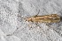  ( - RMNH.5012366)  @11 [ ] CreativeCommons - Attribution Non-Commercial Share-Alike (2018) Unspecified Naturalis Biodiversity Center