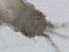  ( - RMNH.5015478)  @11 [ ] CreativeCommons - Attribution Non-Commercial Share-Alike (2018) Unspecified Naturalis Biodiversity Center