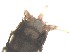  ( - RMNH.5015487)  @11 [ ] CreativeCommons - Attribution Non-Commercial Share-Alike (2018) Unspecified Naturalis Biodiversity Center