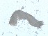  ( - RMNH.5015510)  @11 [ ] CreativeCommons - Attribution Non-Commercial Share-Alike (2018) Unspecified Naturalis Biodiversity Center