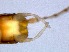  ( - RMNH.5015521)  @11 [ ] CreativeCommons - Attribution Non-Commercial Share-Alike (2018) Unspecified Naturalis Biodiversity Center