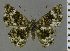 ( - CF-LYC-2120)  @11 [ ] by-nc-sa (2025) MNHN MNHN, Paris