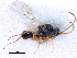  ( - BIOUG27740-A02)  @11 [ ] CreativeCommons - Attribution (2016) CBG Photography Group Centre for Biodiversity Genomics