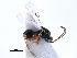  ( - BIOUG27740-A03)  @11 [ ] CreativeCommons - Attribution (2016) CBG Photography Group Centre for Biodiversity Genomics
