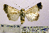  ( - BC_SB_Lep_0108)  @13 [ ] CreativeCommons - Attribution (2010) Gergin Blagoev, Centre for Biodiversity Genomics Centre for Biodiversity Genomics