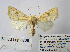  ( - BC_SB_Lep_0269)  @14 [ ] CreativeCommons - Attribution (2010) Gergin Blagoev, Centre for Biodiversity Genomics Centre for Biodiversity Genomics