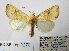  ( - BC_SB_Lep_0270)  @14 [ ] CreativeCommons - Attribution (2010) Gergin Blagoev, Centre for Biodiversity Genomics Centre for Biodiversity Genomics