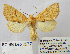  ( - BC_SB_Lep_0277)  @14 [ ] CreativeCommons - Attribution (2010) Gergin Blagoev, Centre for Biodiversity Genomics Centre for Biodiversity Genomics