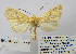  ( - BC_SB_Lep_0279)  @14 [ ] CreativeCommons - Attribution (2010) Gergin Blagoev, Centre for Biodiversity Genomics Centre for Biodiversity Genomics