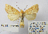  ( - BC_SB_Lep_0280)  @14 [ ] CreativeCommons - Attribution (2010) Gergin Blagoev, Centre for Biodiversity Genomics Centre for Biodiversity Genomics