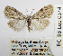  ( - BC_SB_Lep_0374)  @13 [ ] CreativeCommons - Attribution (2010) Gergin Blagoev, Centre for Biodiversity Genomics Centre for Biodiversity Genomics