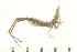  ( - HLC-26108)  @11 [ ] CreativeCommons - Attribution (2008) Unspecified Centre for Biodiversity Genomics