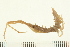  ( - HLC-26110)  @11 [ ] CreativeCommons - Attribution (2008) Unspecified Centre for Biodiversity Genomics