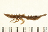  ( - HLC-25732)  @11 [ ] CreativeCommons - Attribution (2008) Unspecified Centre for Biodiversity Genomics