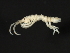  ( - HLC-26411)  @11 [ ] CreativeCommons - Attribution (2008) Unspecified Centre for Biodiversity Genomics