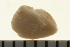  ( - HLC-25931)  @11 [ ] CreativeCommons - Attribution (2008) Unspecified Centre for Biodiversity Genomics