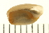  ( - HLC-26707)  @12 [ ] CreativeCommons - Attribution (2008) Unspecified Centre for Biodiversity Genomics