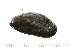  ( - HLC-30049)  @11 [ ] CreativeCommons - Attribution (2008) Unspecified Centre for Biodiversity Genomics