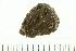  ( - HLC-30327)  @11 [ ] CreativeCommons - Attribution (2008) Unspecified Centre for Biodiversity Genomics