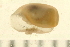 ( - HLC-30297)  @13 [ ] CreativeCommons - Attribution (2008) Unspecified Centre for Biodiversity Genomics