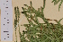  ( - AJK_0035)  @11 [ ] CreativeCommons - Attribution Non-Commercial Share-Alike (2012) Unspecified Tromso University Museum