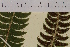  ( - AJK_0093)  @11 [ ] CreativeCommons - Attribution Non-Commercial Share-Alike (2012) Unspecified Tromso University Museum