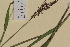  ( - AJK_0137)  @11 [ ] CreativeCommons - Attribution Non-Commercial Share-Alike (2012) Unspecified Tromso University Museum