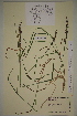  ( - AJK_0144)  @11 [ ] CreativeCommons - Attribution Non-Commercial Share-Alike (2012) Unspecified Tromso University Museum