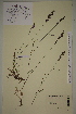  ( - AJK_0145)  @11 [ ] CreativeCommons - Attribution Non-Commercial Share-Alike (2012) Unspecified Tromso University Museum
