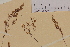  ( - AJK_0155)  @11 [ ] CreativeCommons - Attribution Non-Commercial Share-Alike (2012) Unspecified Tromso University Museum