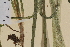  ( - AJK_0213)  @11 [ ] CreativeCommons - Attribution Non-Commercial Share-Alike (2013) Unspecified Tromso University Museum