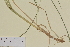  ( - AJK_0221)  @11 [ ] CreativeCommons - Attribution Non-Commercial Share-Alike (2013) Unspecified Tromso University Museum