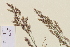  ( - TROM-V-960529)  @11 [ ] CreativeCommons - Attribution Non-Commercial Share-Alike (2013) Unspecified Tromso University Museum